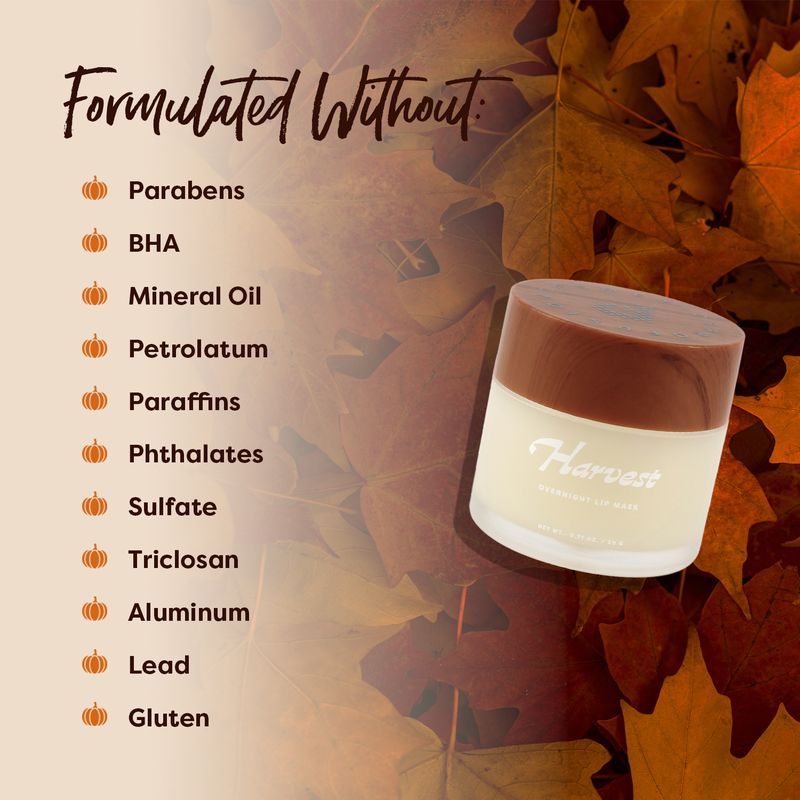 Pumpkin Spice | Harvest Overnight Lip Mask