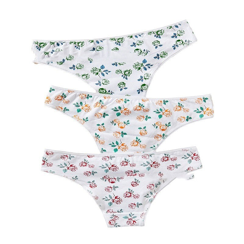 Girl Cotton Underwear Middle School Low Waist Briefs