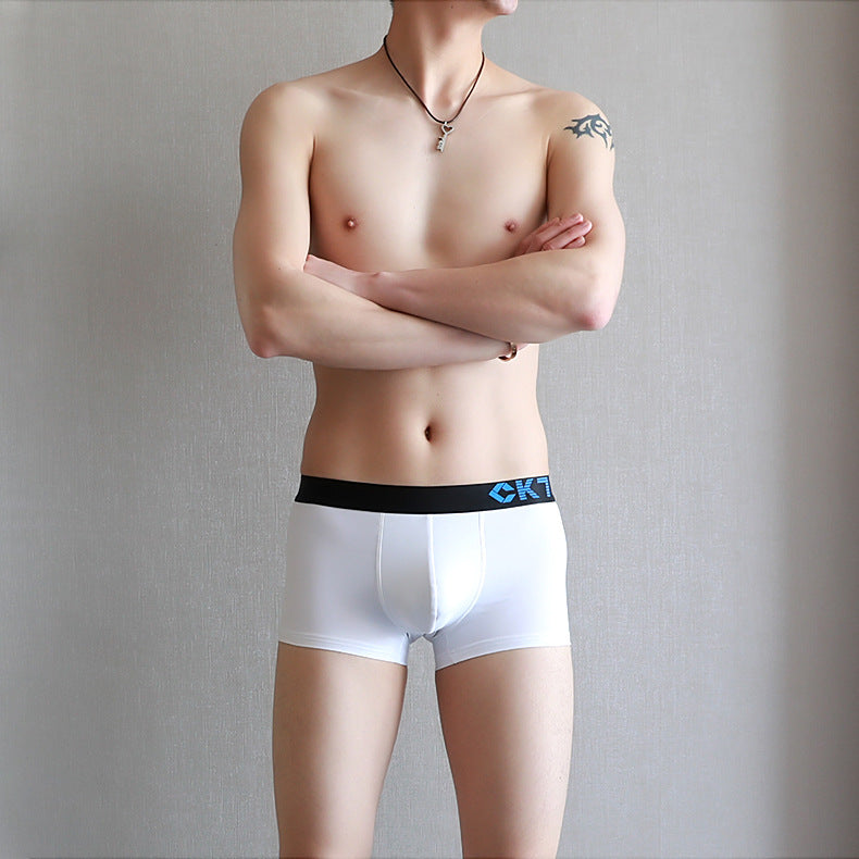 Slim Men's Boxer Briefs In Summer