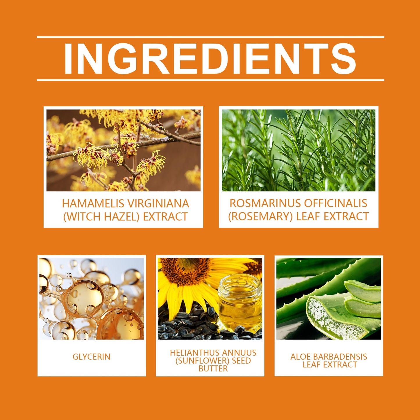 Hoygi Moisturizing Anti-Sweat Facial Lotion Moisturizing Skin Care Moisturizing Oil Control Tender Skin Essence Facial Lotion