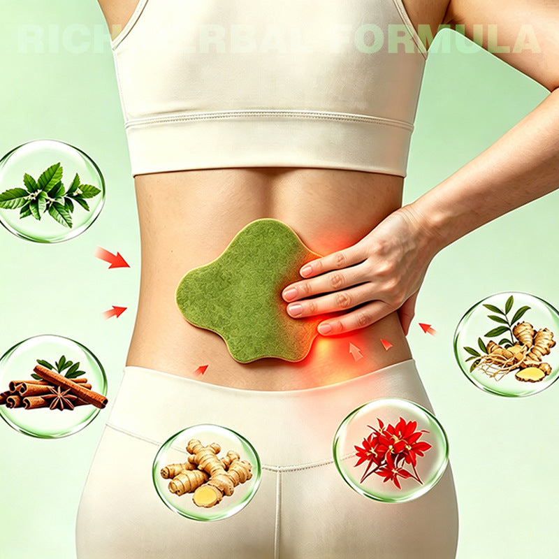 Natural Wormwood Heat Patches, Self Adhesive Warm Herbal Plaster For Waist & Body, 10 Pcs Box