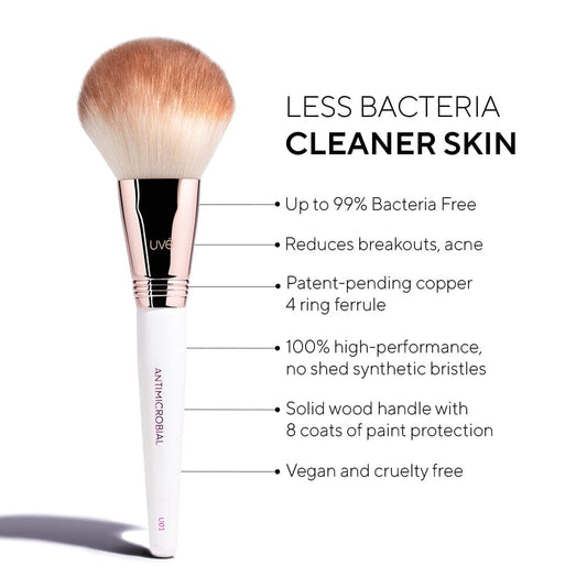 Professional Antimicrobial Brush Set  (11+)