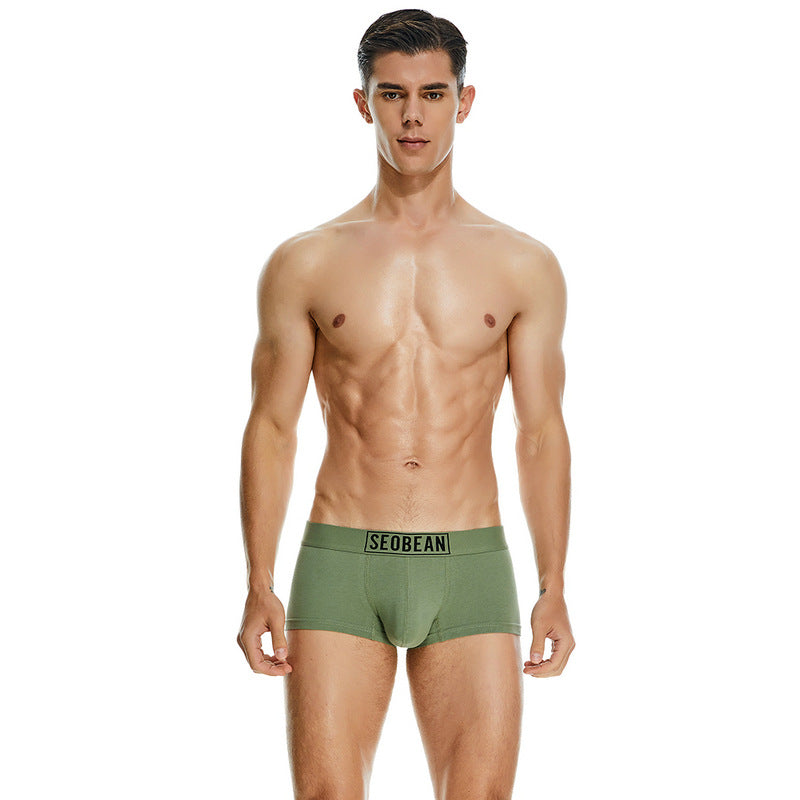 Men's Cotton Underpants Low Waist Casual Boxer Boxer Briefs
