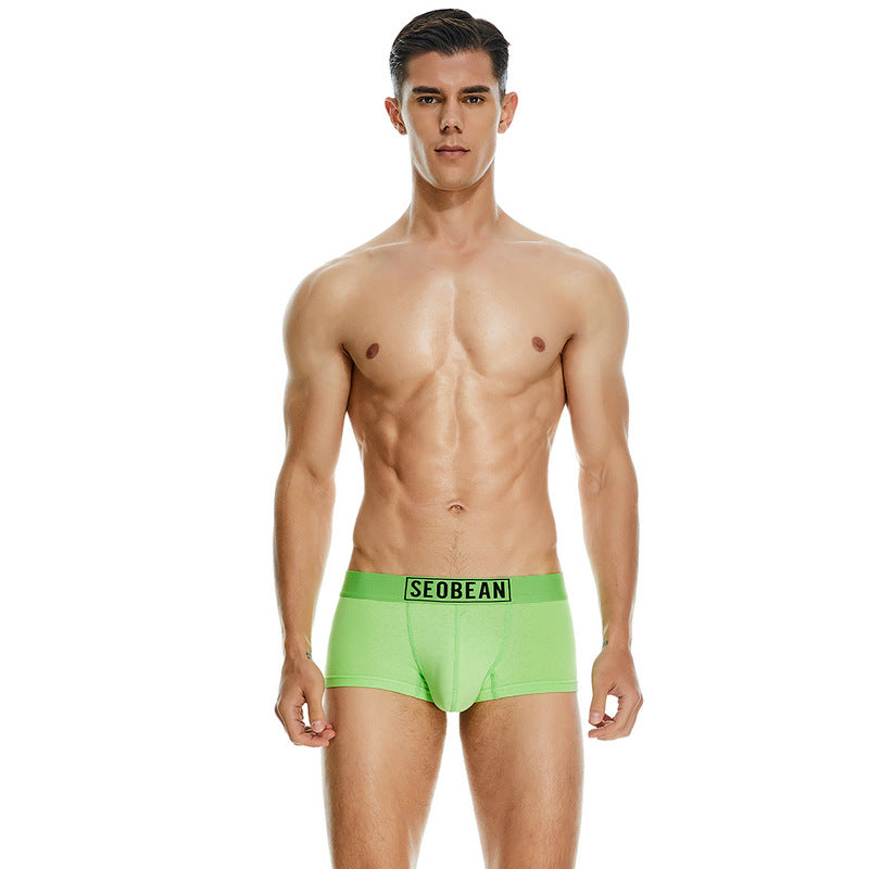 Men's Cotton Underpants Low Waist Casual Boxer Boxer Briefs