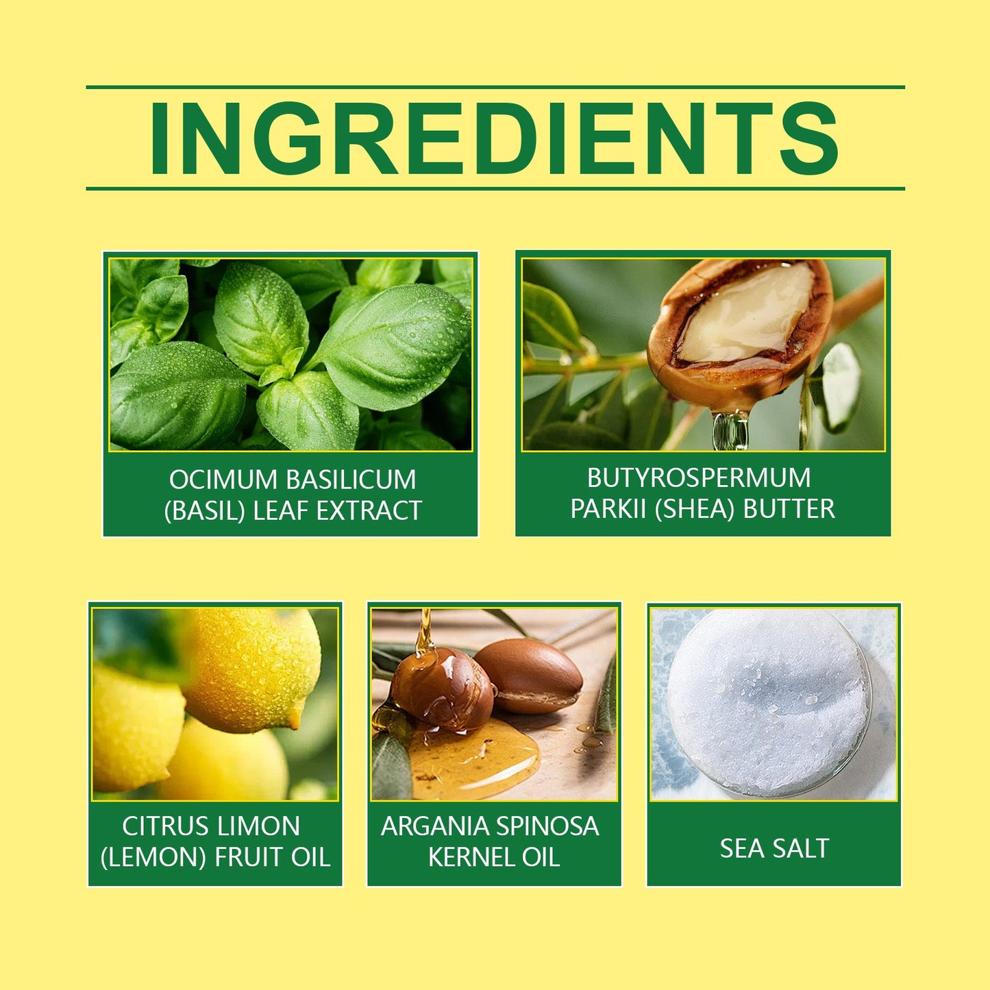 OceAura Lemon Refreshing Basil Soap Gently Cleanses Skin, Refreshing Pores, Tender Body Soap For Refreshing Bath