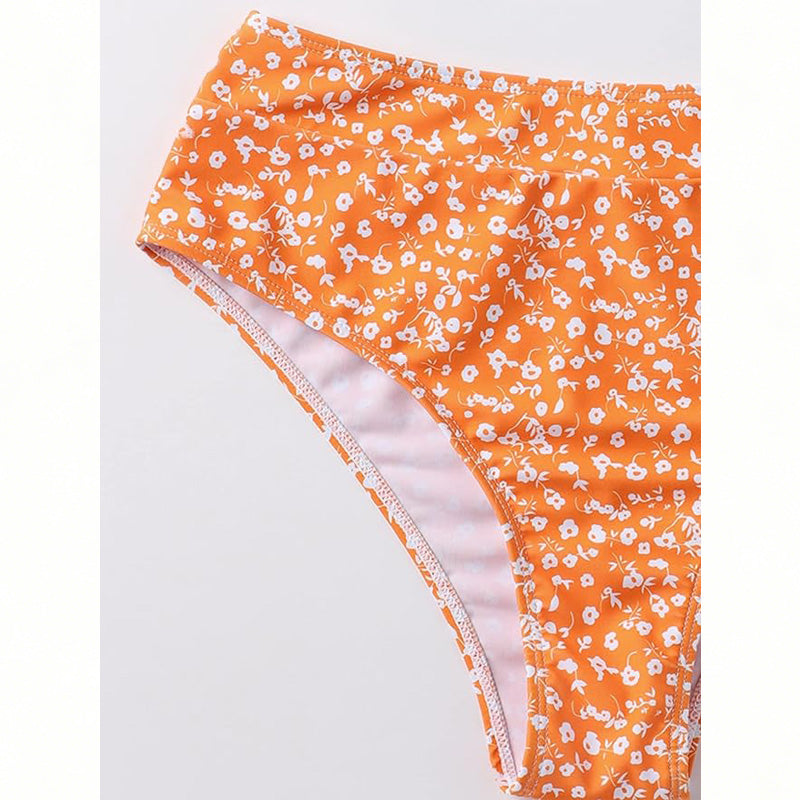 Women's Ditsy Floral Bikini Set, Plunge V-Neck Wide Strap Top & High Waist Bottom, 2 Piece Retro Swimsuit