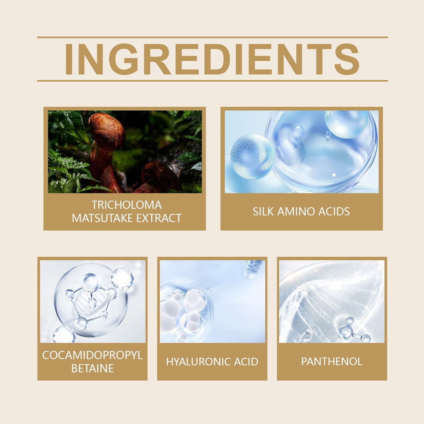 West&Month Amino Acid Cleanser, Gently Cleanser Delicate Pore Skin Care Cleanser