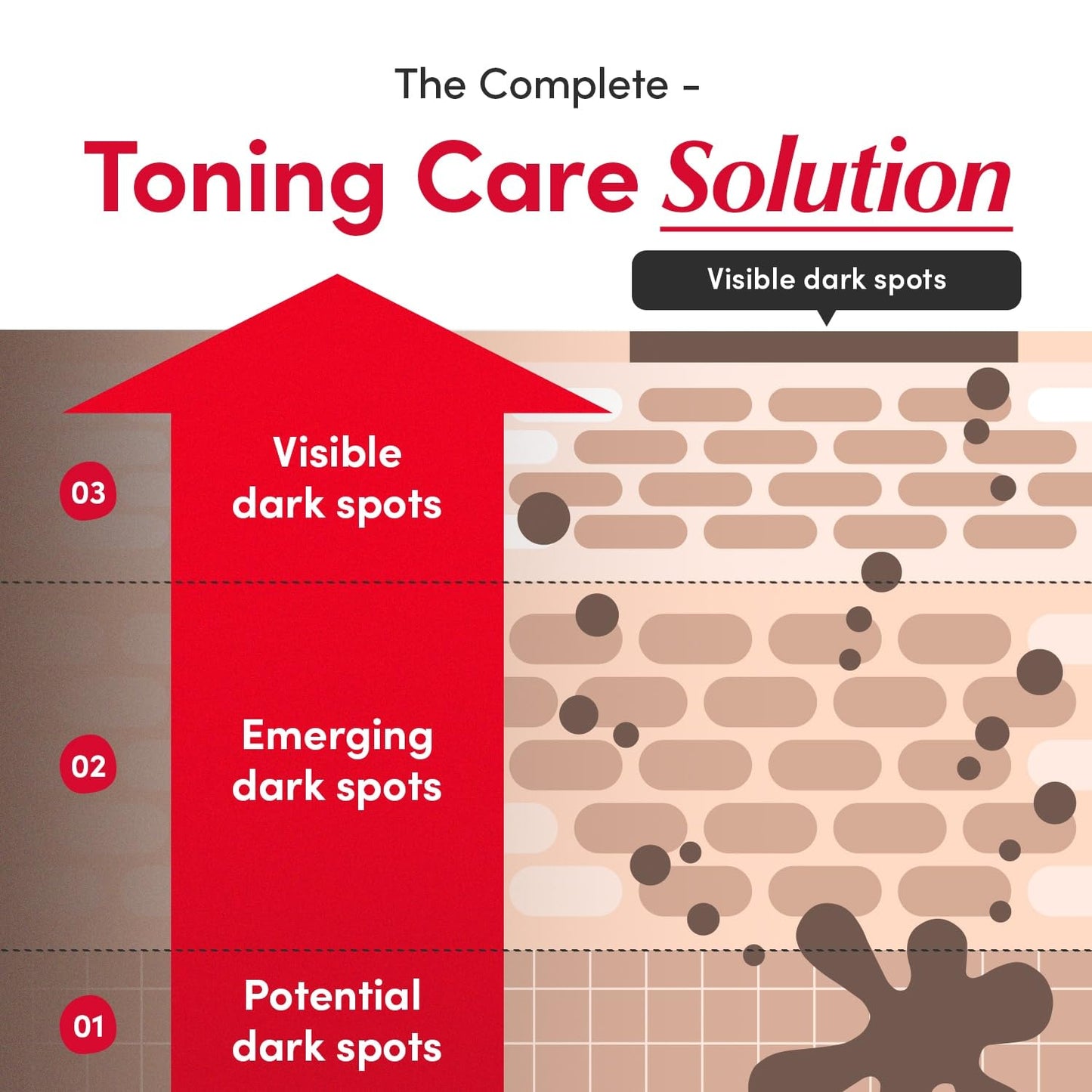 EQQUALBERRY Vitamin Illuminating Serum