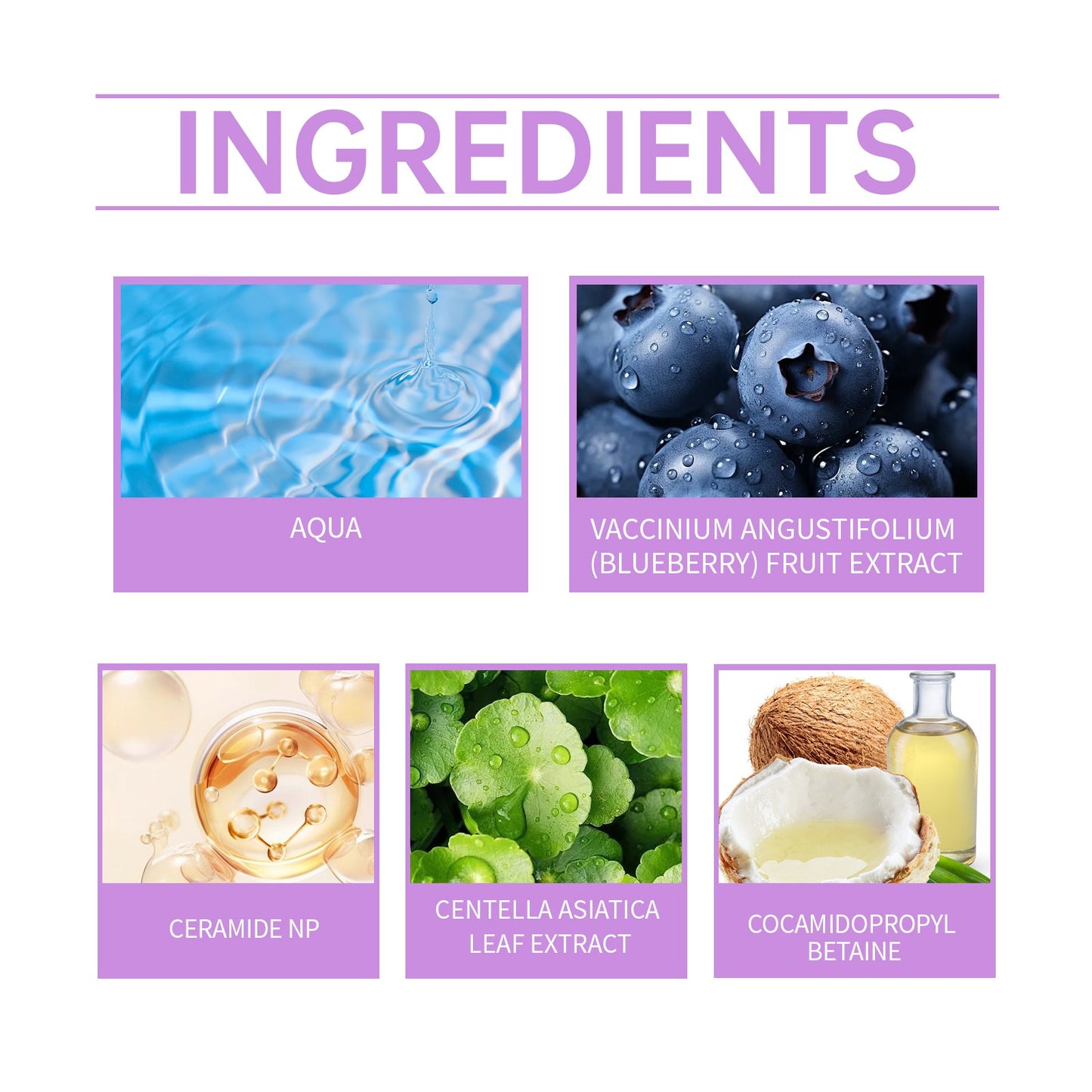 Hoygi Blueberry Flavorful Ceramide Cleansing Gel, Facial Skin Cleansing Moisturizing Hydrating Cleanser