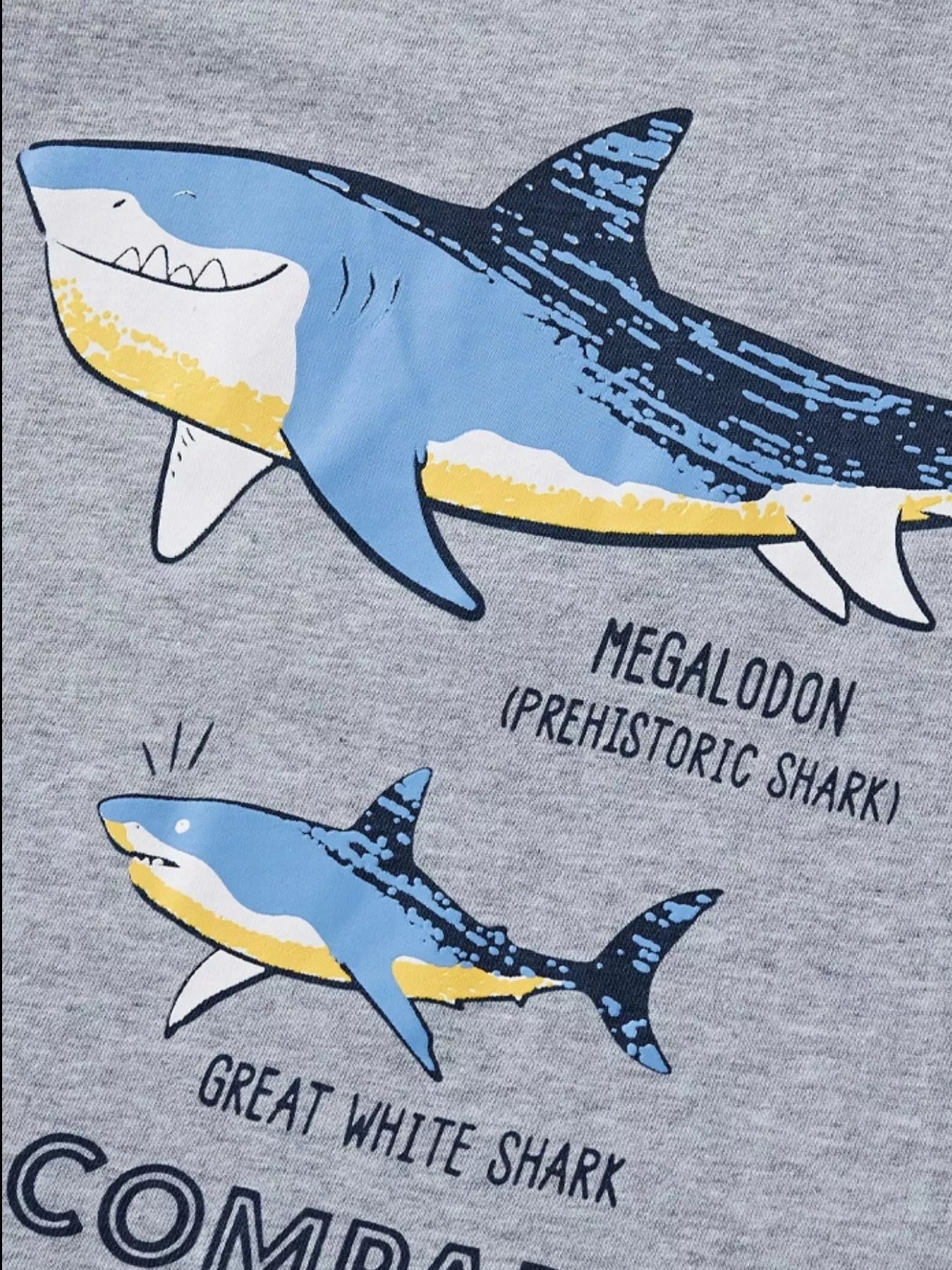 80e069b9-ac52-4070-8c2e-27622cdb8d11-Max-Origin