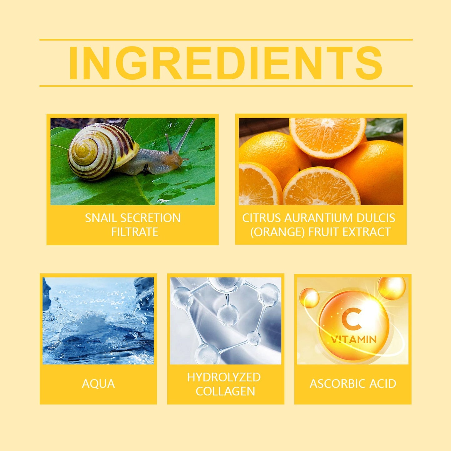 West&Month Cochlear Collagen Firming Cream Moisturizes And Nourishes Dry Skin, Refreshing And Brightening Face Cream