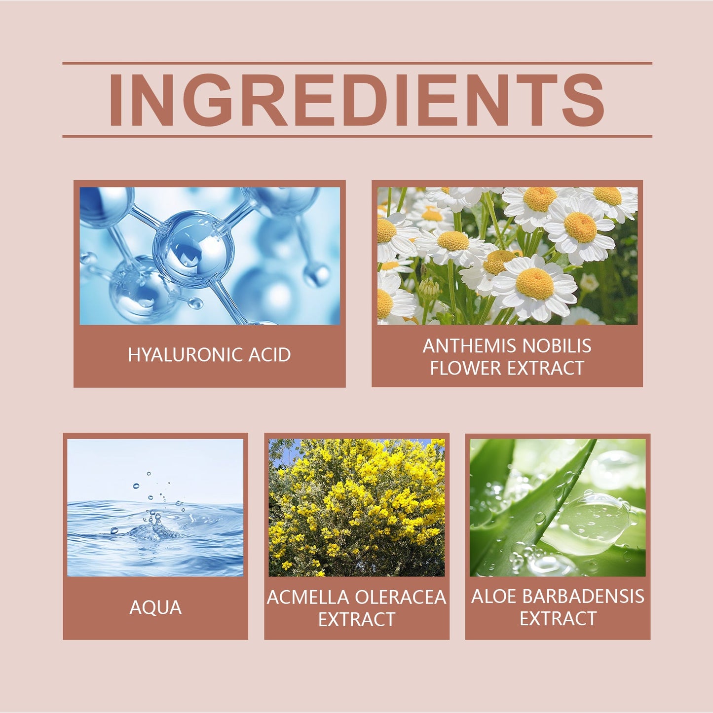 Ouhoe Anti-Aging Repair Serum