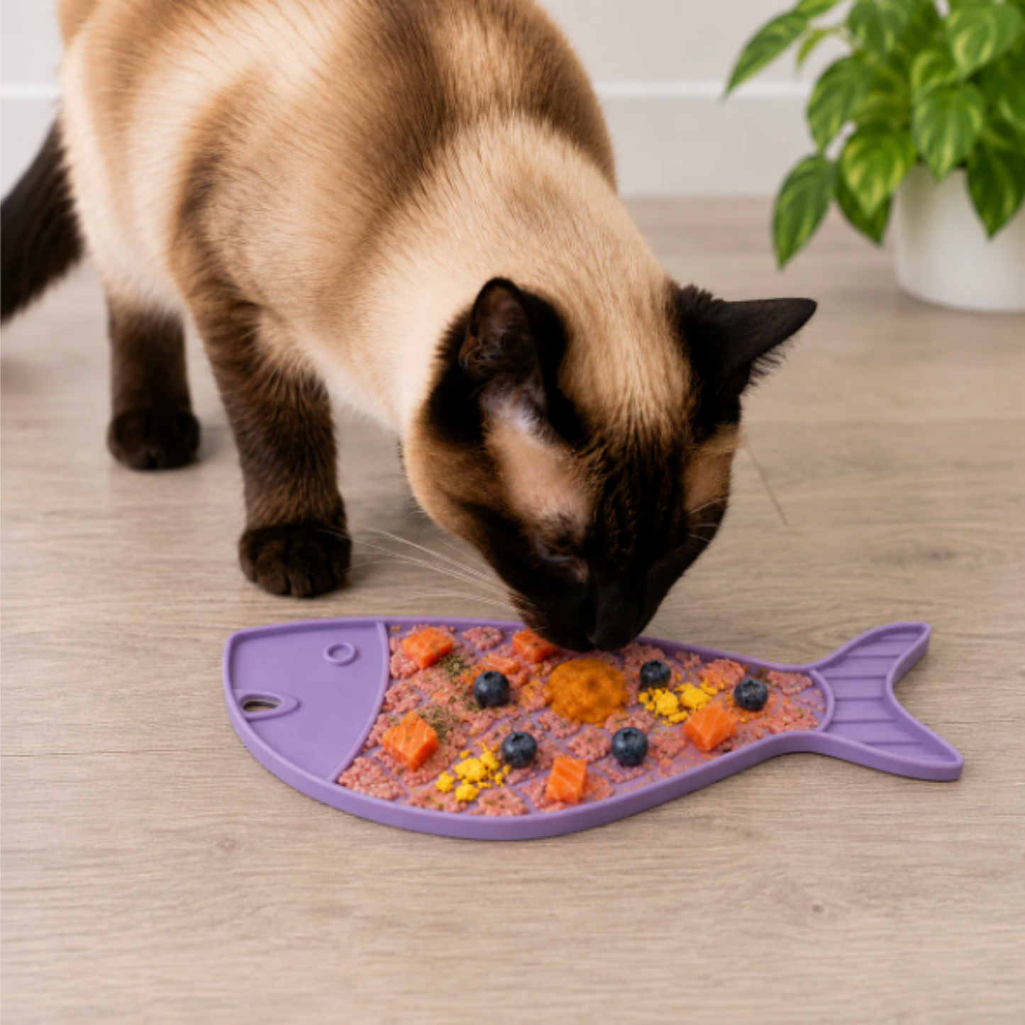 Lick Mats for Cats and Small Dogs