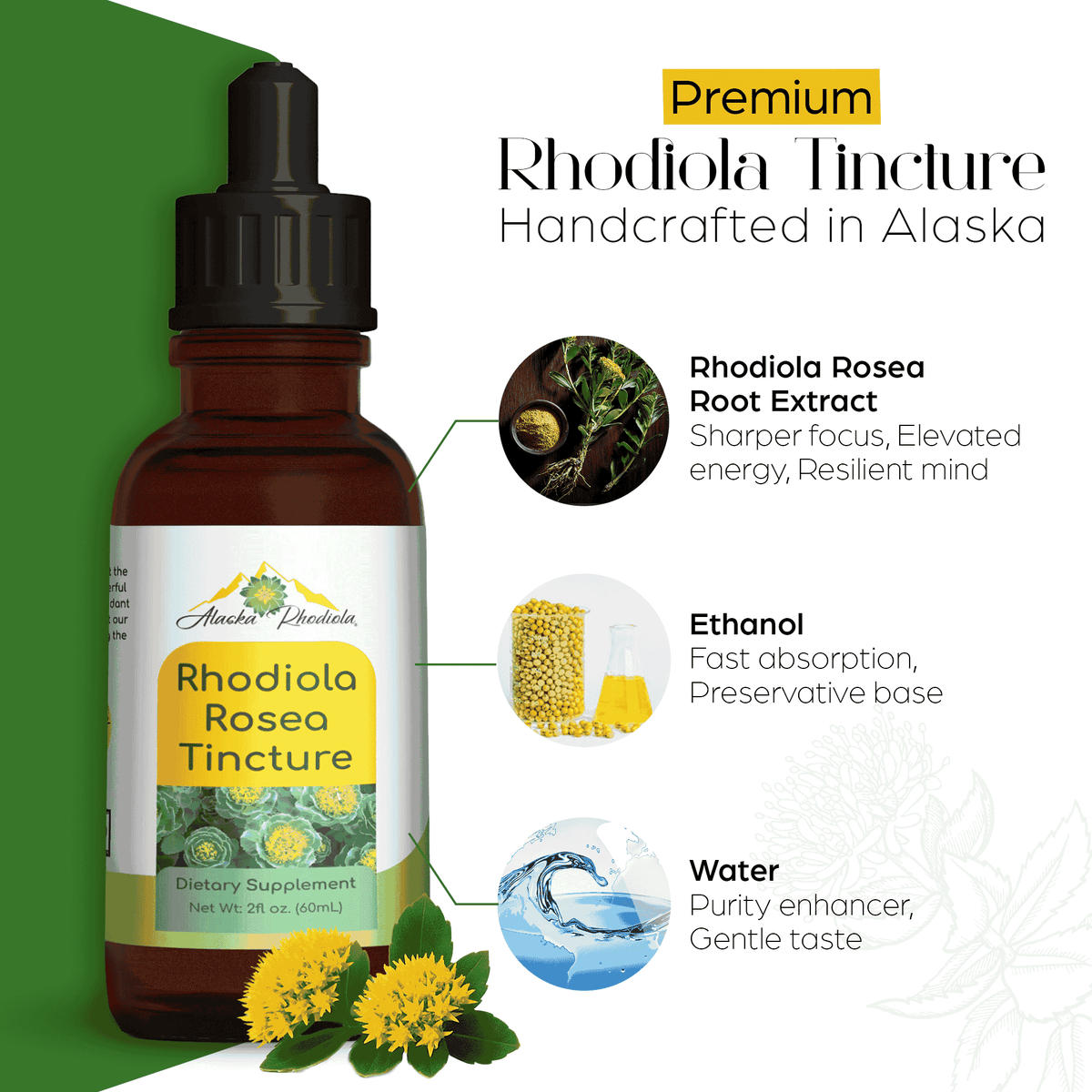 Rhodiola Rosea Tincture – Natural Stress & Energy Support (2 oz)
