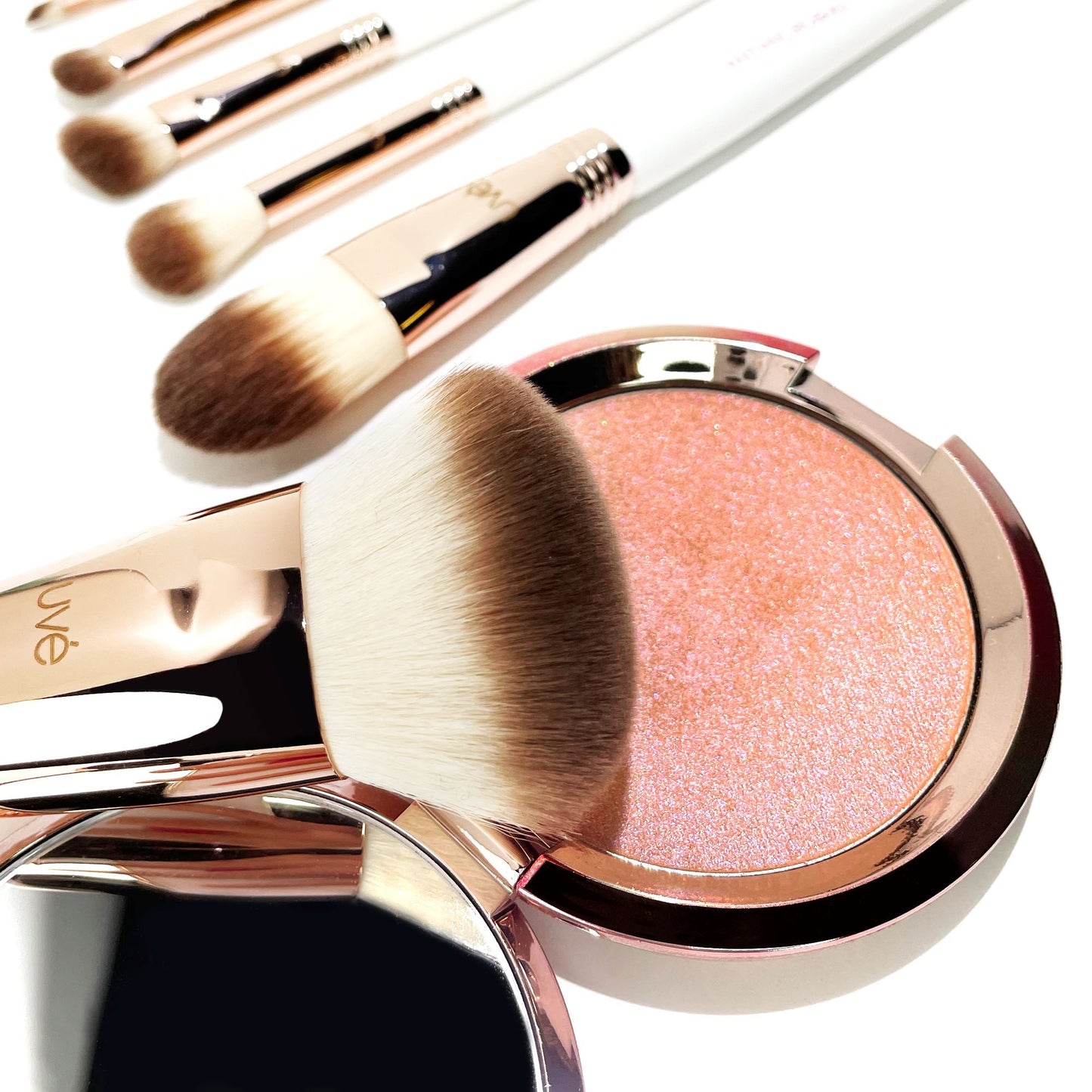 Professional Antimicrobial Brush Set  (11+)