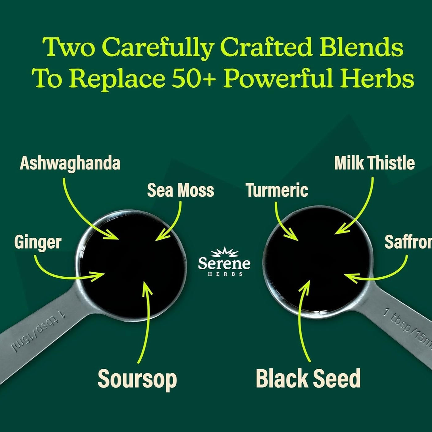 Prickly Fruit Annona & Black Seed Bitter Flavor Supplement S 473 ml