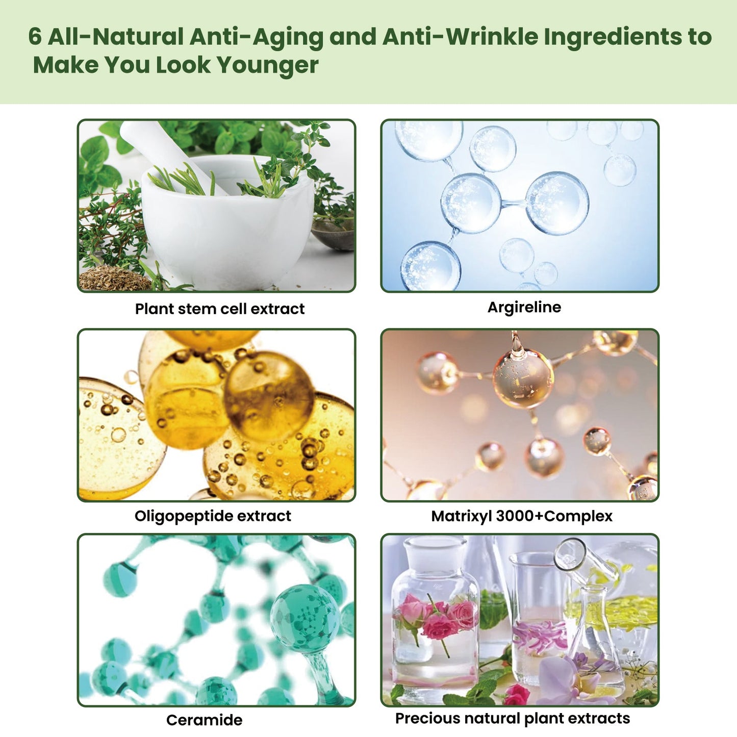 EELHOE Ceramide Firming Essence For Deep Curing, Moisturizing, Firming And Smoothing Wrinkles