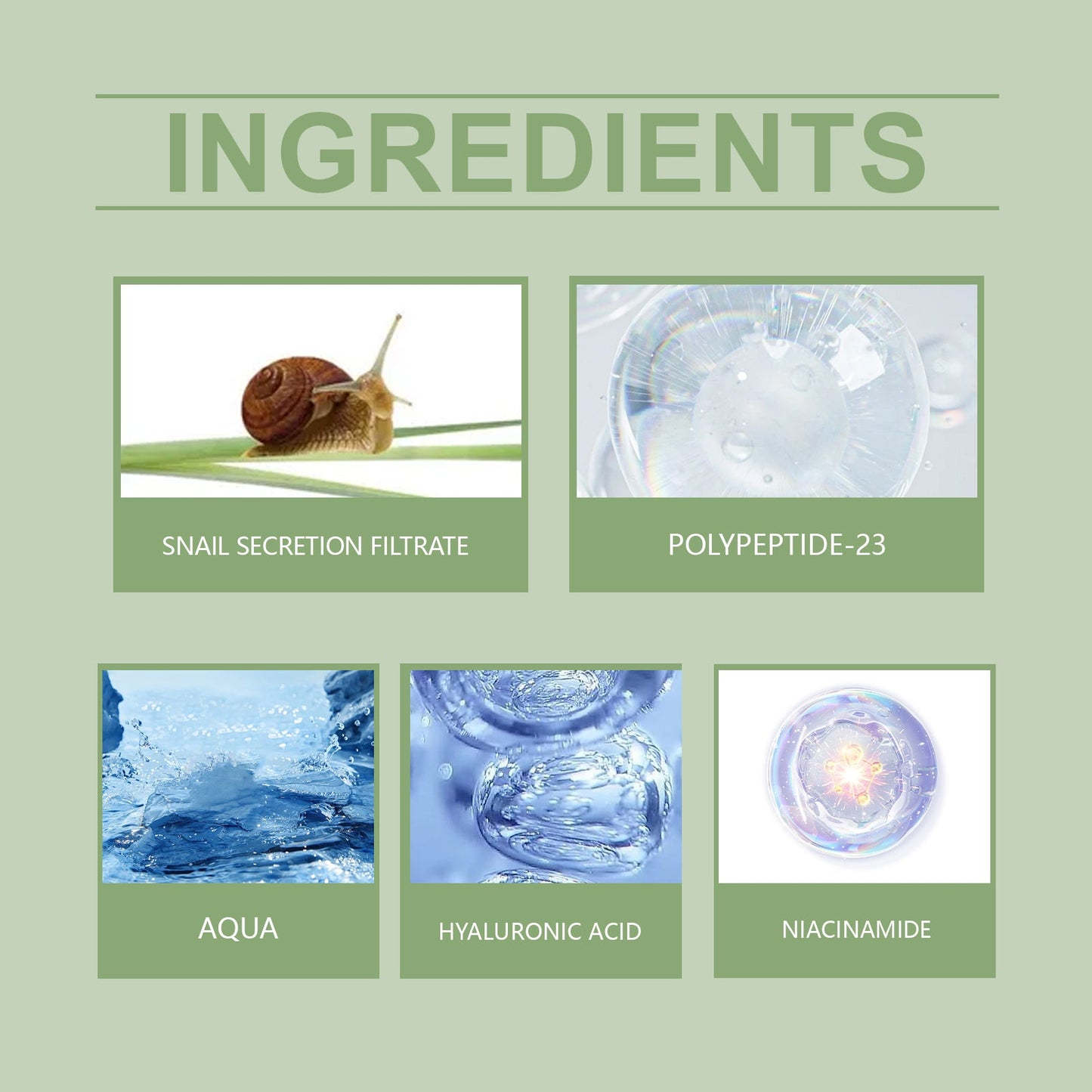 West&Month Snail Peptide Hyaluronic Acid Firming Serum Moisturizes And Tights Skin, Firming And Smoothing Skin Lines