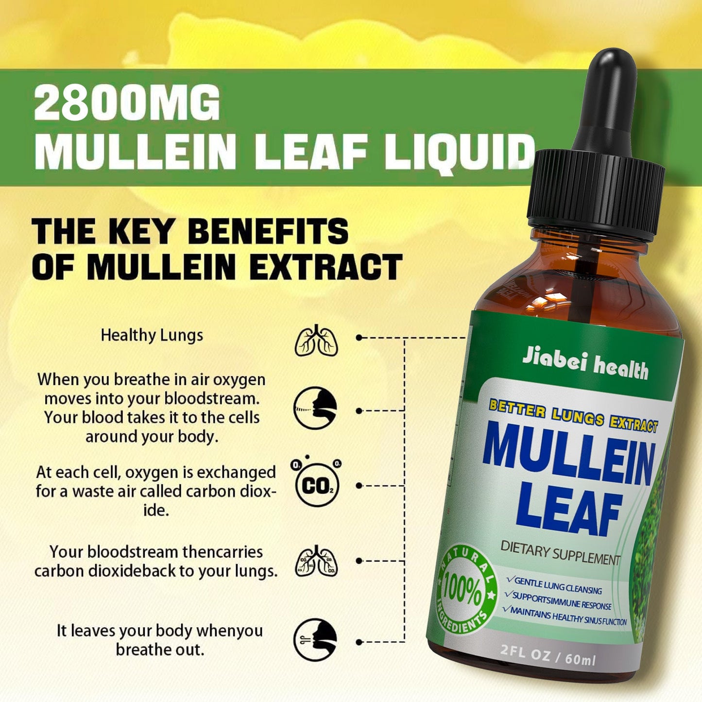 Mullein Leaf Liquid Drops