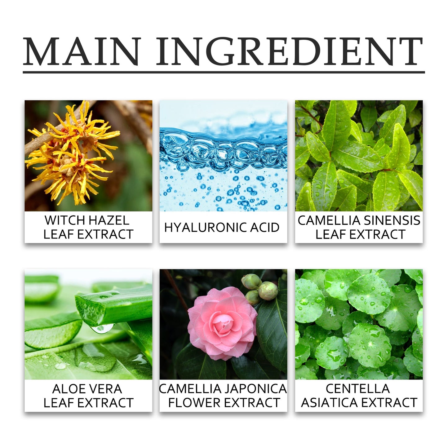 Hoygi Green Tea Cleansing Mud Mask, Facial Cleansing Moisturizing Whitening Skin Blackhead Acne Removing Mud Mask